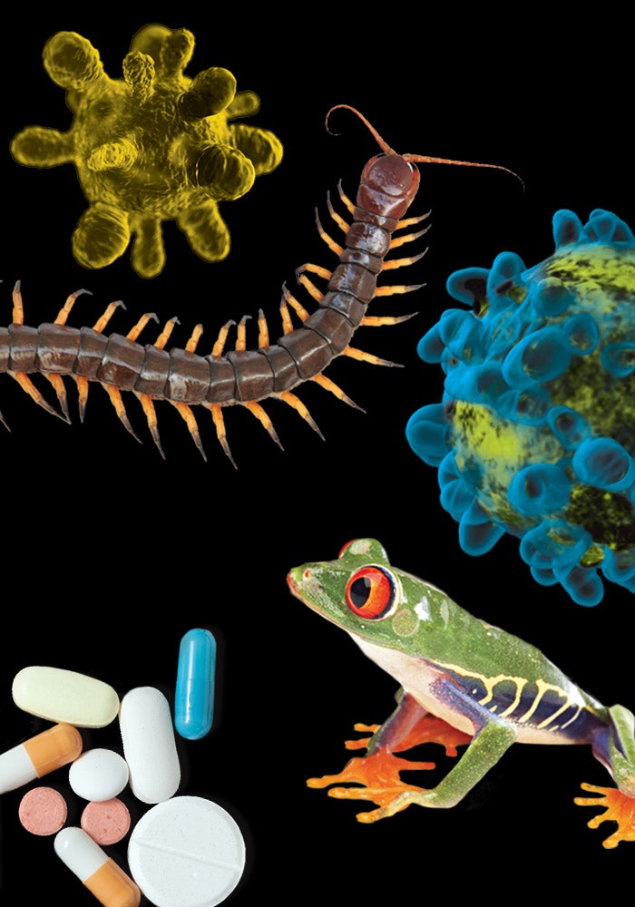 The wonderful world of biology